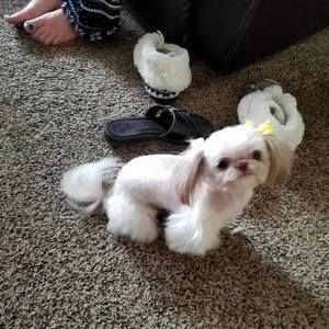 Meet your Posher, Vickie